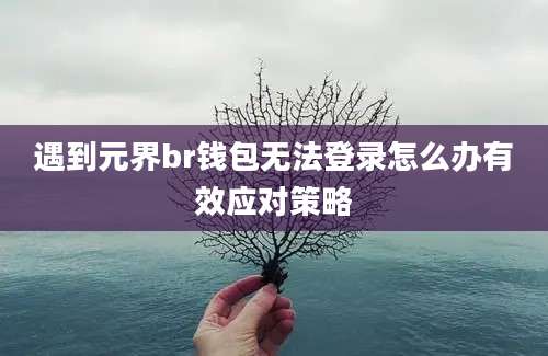 遇到元界br钱包无法登录怎么办有效应对策略