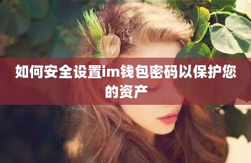 如何安全设置im钱包密码以保护您的资产