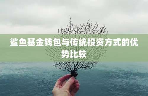 鲨鱼基金钱包与传统投资方式的优势比较