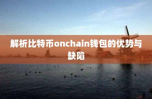 解析比特币onchain钱包的优势与缺陷