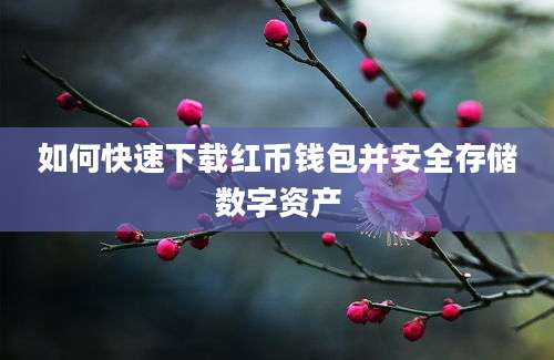 如何快速下载红币钱包并安全存储数字资产