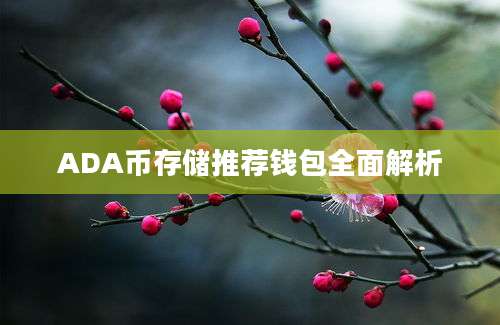 ADA币存储推荐钱包全面解析