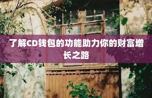 了解CD钱包的功能助力你的财富增长之路