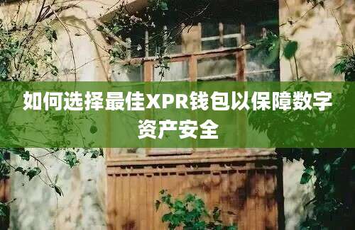 如何选择最佳XPR钱包以保障数字资产安全