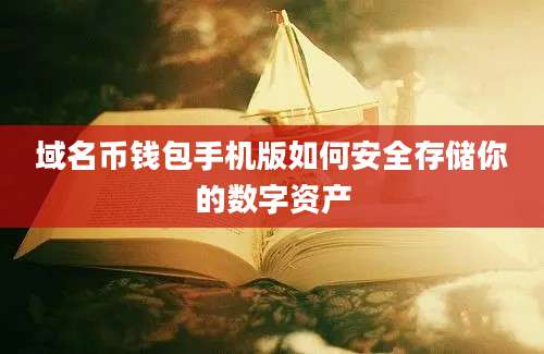 域名币钱包手机版如何安全存储你的数字资产