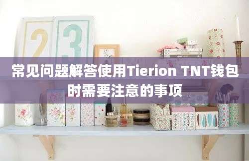 常见问题解答使用Tierion TNT钱包时需要注意的事项