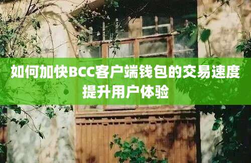 如何加快BCC客户端钱包的交易速度提升用户体验