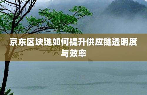 京东区块链如何提升供应链透明度与效率