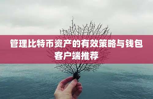 管理比特币资产的有效策略与钱包客户端推荐