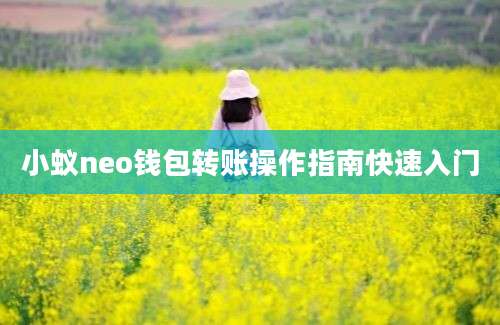 小蚁neo钱包转账操作指南快速入门