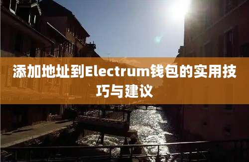 添加地址到Electrum钱包的实用技巧与建议