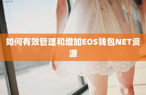 如何有效管理和增加EOS钱包NET资源