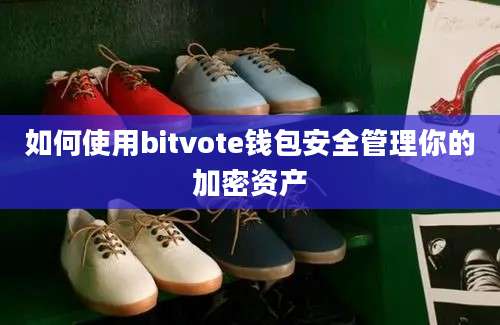 如何使用bitvote钱包安全管理你的加密资产