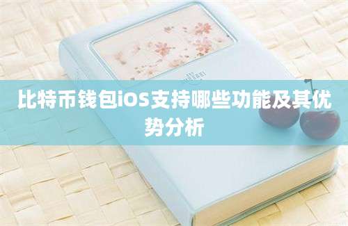 比特币钱包iOS支持哪些功能及其优势分析