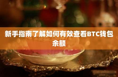 新手指南了解如何有效查看BTC钱包余额