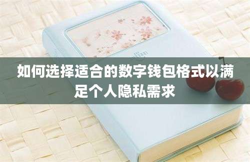 如何选择适合的数字钱包格式以满足个人隐私需求