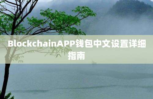 BlockchainAPP钱包中文设置详细指南