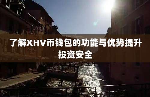 了解XHV币钱包的功能与优势提升投资安全