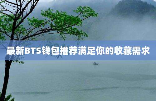 最新BTS钱包推荐满足你的收藏需求