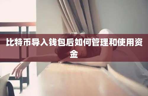 比特币导入钱包后如何管理和使用资金