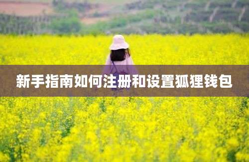 新手指南如何注册和设置狐狸钱包