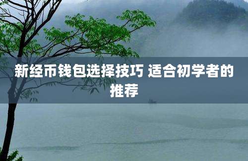 新经币钱包选择技巧 适合初学者的推荐