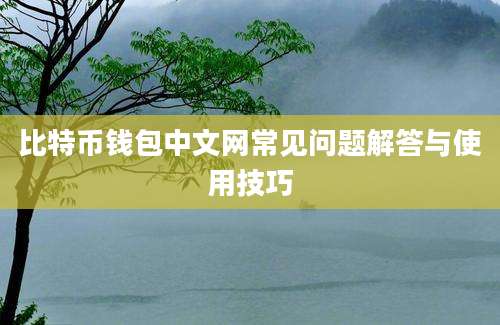 比特币钱包中文网常见问题解答与使用技巧