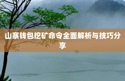 山寨钱包挖矿命令全面解析与技巧分享