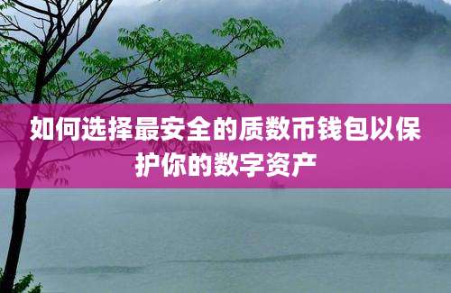 如何选择最安全的质数币钱包以保护你的数字资产