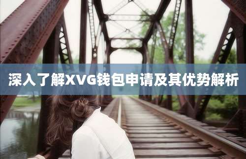 深入了解XVG钱包申请及其优势解析