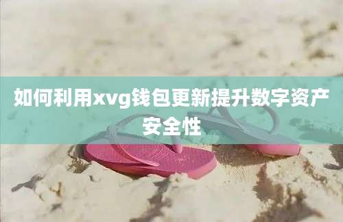 如何利用xvg钱包更新提升数字资产安全性