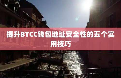 提升BTCC钱包地址安全性的五个实用技巧