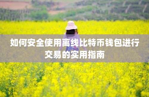 如何安全使用离线比特币钱包进行交易的实用指南