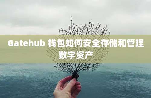 Gatehub 钱包如何安全存储和管理数字资产