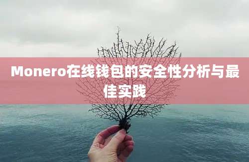 Monero在线钱包的安全性分析与最佳实践