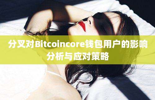 分叉对Bitcoincore钱包用户的影响分析与应对策略