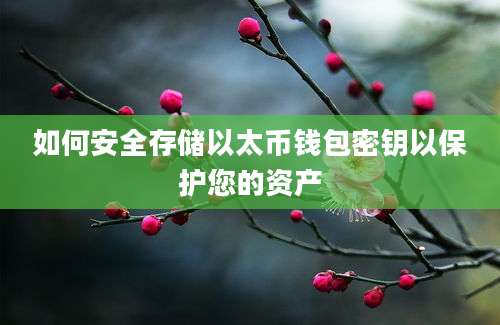 如何安全存储以太币钱包密钥以保护您的资产