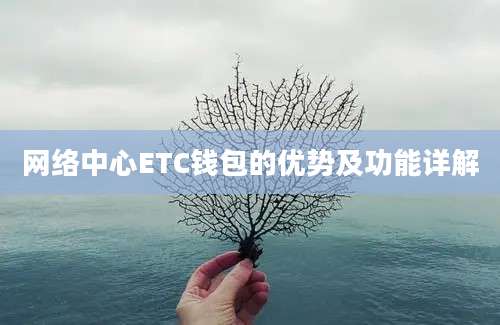 网络中心ETC钱包的优势及功能详解