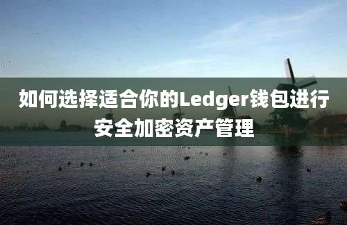 如何选择适合你的Ledger钱包进行安全加密资产管理