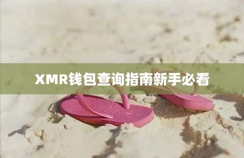 XMR钱包查询指南新手必看