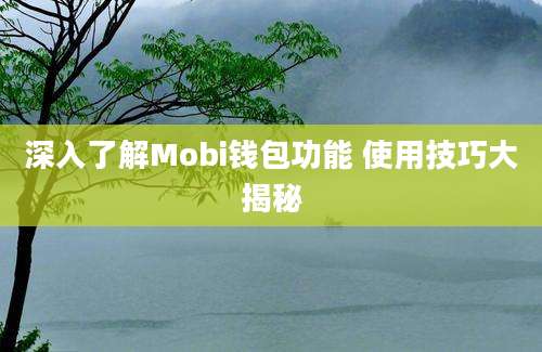 深入了解Mobi钱包功能 使用技巧大揭秘