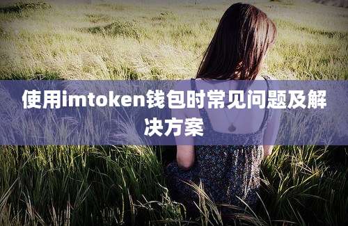 使用imtoken钱包时常见问题及解决方案