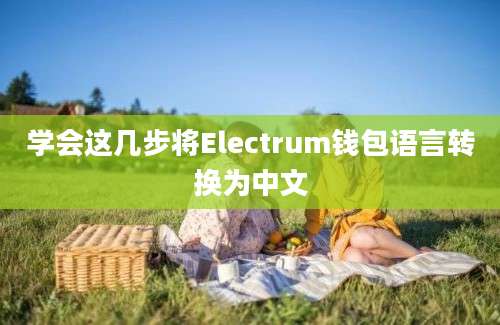 学会这几步将Electrum钱包语言转换为中文