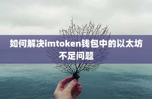 如何解决imtoken钱包中的以太坊不足问题