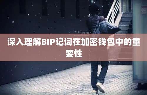 深入理解BIP记词在加密钱包中的重要性