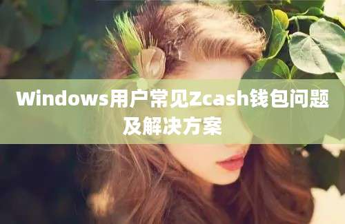 Windows用户常见Zcash钱包问题及解决方案