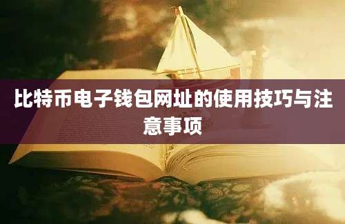 比特币电子钱包网址的使用技巧与注意事项