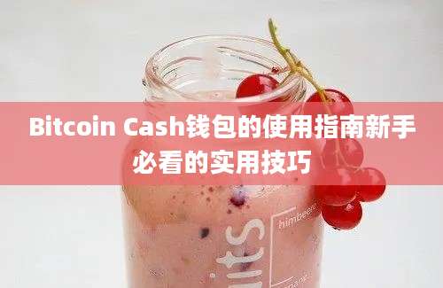 Bitcoin Cash钱包的使用指南新手必看的实用技巧