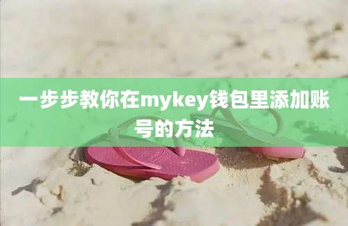 一步步教你在mykey钱包里添加账号的方法