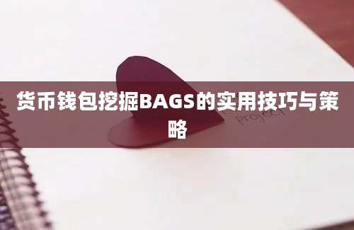 货币钱包挖掘BAGS的实用技巧与策略